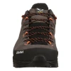 Кросівки Salewa ALP Trainer 2 Mns чоловічі 7953 коричневі