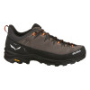 Кросівки Salewa ALP Trainer 2 Mns чоловічі 7953 коричневі