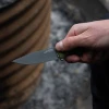 Ніж SOG Altair FX Field Green
