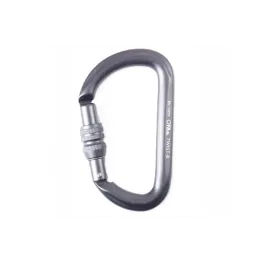 Карабін First Ascent Twist B grey сірий