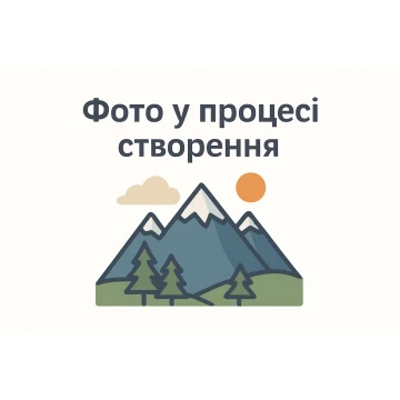 Шкарпетки пухові VsimGir Chuni унісекс ranger green