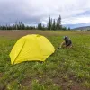 Намет Big Agnes Blacktail 3 warm olive/chinois green жовтий/зелений