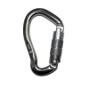 Карабін First Ascent Argon grey