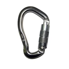 Карабін First Ascent Argon grey