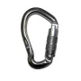 Карабін First Ascent Argon grey