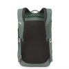 Рюкзак Osprey Arcane Large Day pine leaf green heather зелений