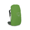 Рюкзак Osprey Kestrel 68 bonsai green зелений