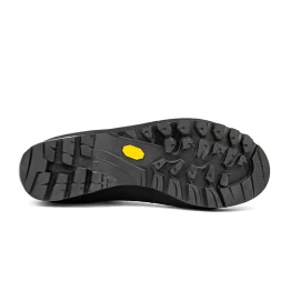 Черевики La Sportiva Trango Alp Evo Gtx Carbon/Moss чоловічі