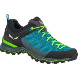 Кросівки Salewa MS MTN Trainer Lite чоловічі сині