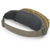 Поясна сумка Osprey Daylite Waist ash blush pink/earl grey рожева/сіра