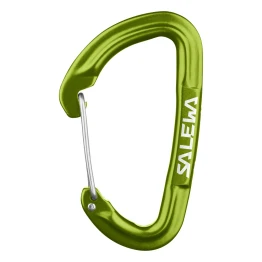Карабін Salewa Hot G3 Wire зелений