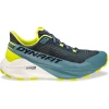 Кросівки Dynafit Ultra 100 V3 Mns чоловічі 3161 сірі/зелені
