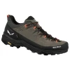 Кросівки Salewa ALP Trainer 2 Mns чоловічі 7953 коричневі