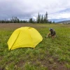 Намет Big Agnes Blacktail 4 warm olive/chinois green жовтий/зелений