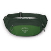 Поясна сумка Osprey Daylite Waist green belt/green canopy зелена Поясна сумка Osprey Daylite Waist green belt/green canopy зелена