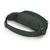 Поясна сумка Osprey Daylite Waist green belt/green canopy зелена Поясна сумка Osprey Daylite Waist green belt/green canopy зелена