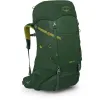 Рюкзак Osprey Ace 38 green canopy зелений Рюкзак Osprey Ace 38 green canopy зелений
