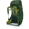 Рюкзак Osprey Ace 38 green canopy зелений Рюкзак Osprey Ace 38 green canopy зелений