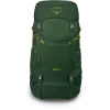 Рюкзак Osprey Ace 38 green canopy зелений Рюкзак Osprey Ace 38 green canopy зелений