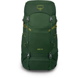Рюкзак Osprey Ace 38 green canopy зелений
