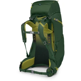 Рюкзак Osprey Ace 50 green canopy зелений
