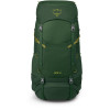 Рюкзак Osprey Ace 50 green canopy зелений Рюкзак Osprey Ace 50 green canopy зелений