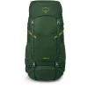 Рюкзак Osprey Ace 50 green canopy зелений