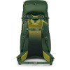 Рюкзак Osprey Ace 50 green canopy зелений Рюкзак Osprey Ace 50 green canopy зелений