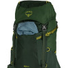 Рюкзак Osprey Ace 50 green canopy зелений Рюкзак Osprey Ace 50 green canopy зелений