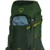 Рюкзак Osprey Ace 50 green canopy зелений