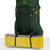 Рюкзак Osprey Ace 50 green canopy зелений Рюкзак Osprey Ace 50 green canopy зелений