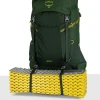 Рюкзак Osprey Ace 50 green canopy зелений