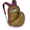 Рюкзак Osprey Arcane Small Day allium red/brindle brown червоний