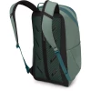 Рюкзак Osprey Astronova pine leaf green зелений
