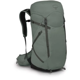 Рюкзак Osprey Sportlite 30 pine leaf green зелений