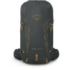 Рюкзак Osprey Talon Velocity 30 dark charcoal/tumbleweed yellow сірий Рюкзак Osprey Talon Velocity 30 dark charcoal/tumbleweed yellow сірий