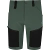 Шорти 2117 of Sweden Stojby Shorts Mns чоловічі forest green темно-зелені