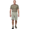 Шорти Salewa Fanes Hemp Light Shotrs Mns чоловічі 5130 світло-сірі