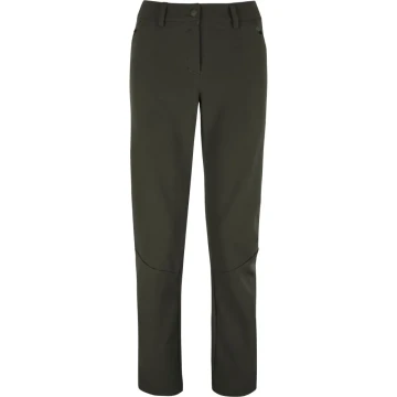 Штани Salewa Terminal Pants Wms жіночі 5280 темно-оливкові