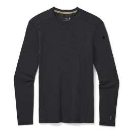 Термофутболка Smartwool Men's Merino 250 Baselayer Crew Boxed чоловіча Charcoal Heather темно-сіра