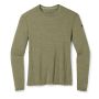 Термофутболка Smartwool Men's Merino 250 Baselayer Crew Boxed чоловіча Winter Moss Heather зелена