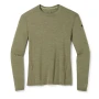 Термофутболка Smartwool Men's Merino 250 Baselayer Crew Boxed чоловіча Winter Moss Heather зелена