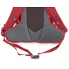 Рюкзак Pinguin Ride 19 Red червоний
