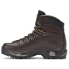 Черевики Asolo TPS 520 GV MM чоловічі Chestnut коричневі