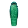 Спальник Sea to Summit Ascent -9C/15F Long унісекс Rain Forest Green зелений