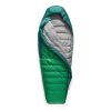Спальник Sea to Summit Ascent -9C/15F Long унісекс Rain Forest Green зелений