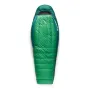 Спальник Sea to Summit Ascent -9C/15F Regular унісекс Rain Forest Green зелений